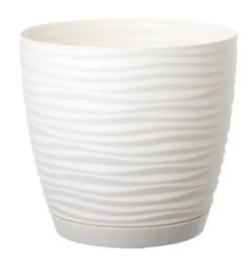 Сахара Петіт білий