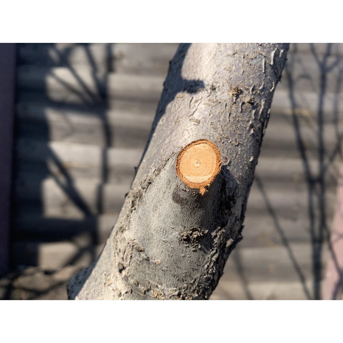 До обработки