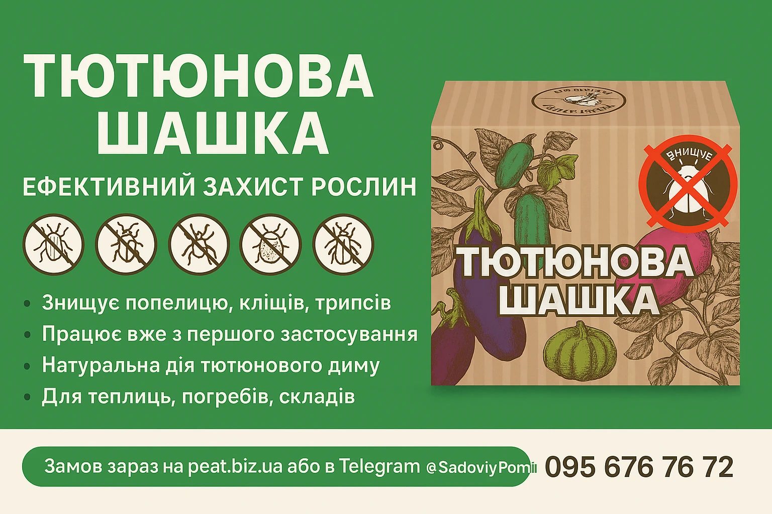 Сезон тютюнової шашки!